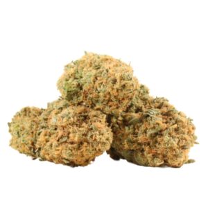 Sunset Sherbet – THC : 18 %